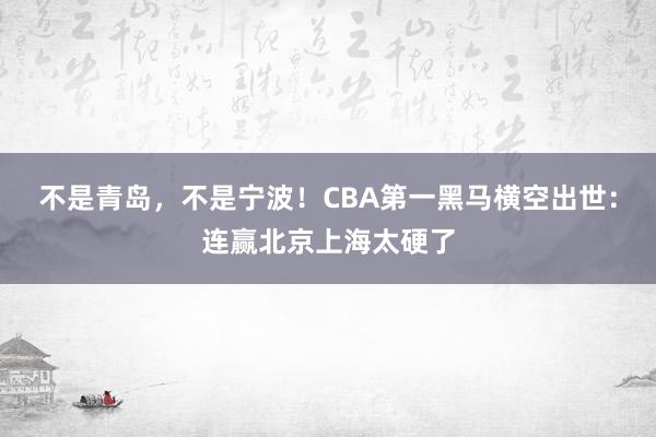 不是青岛，不是宁波！CBA第一黑马横空出世：连赢北京上海太硬了