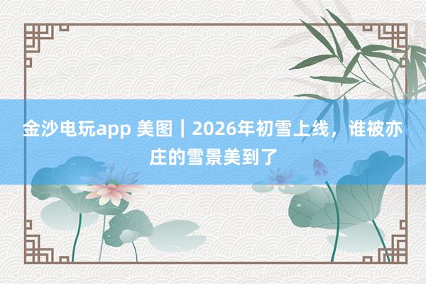 金沙电玩app 美图｜2026年初雪上线，谁被亦庄的雪景美到了