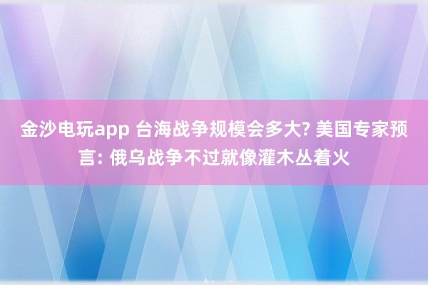 金沙电玩app 台海战争规模会多大? 美国专家预言: 俄乌战争不过就像灌木丛着火