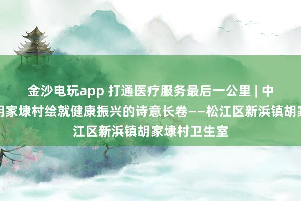 金沙电玩app 打通医疗服务最后一公里 | 中医润乡土：胡家埭村绘就健康振兴的诗意长卷——松江区新浜镇胡家埭村卫生室