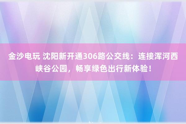 金沙电玩 沈阳新开通306路公交线:连接浑河西峡谷公园,畅享绿色出行新体验!