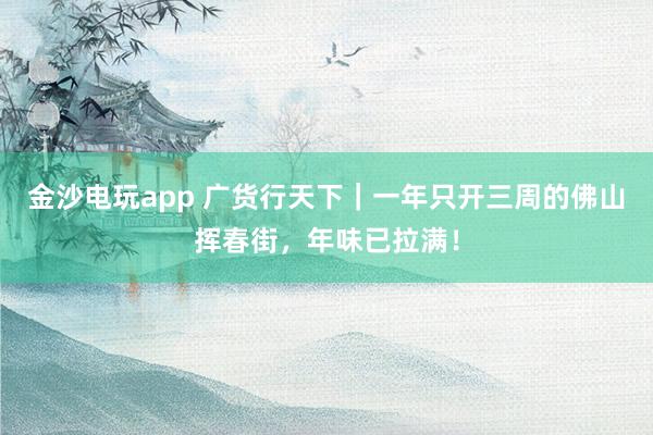 金沙电玩app 广货行天下|一年只开三周的佛山挥春街,年味已拉满!