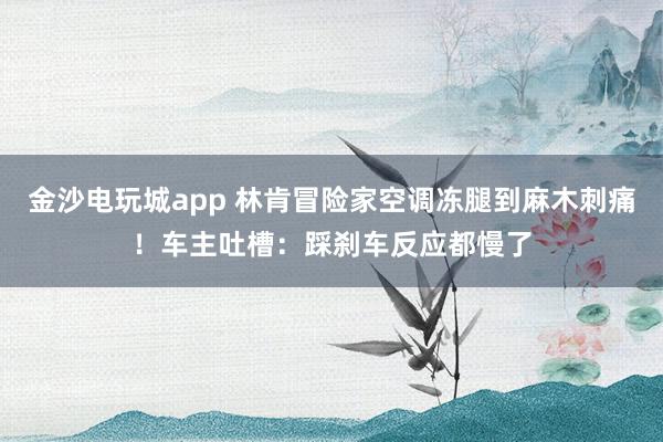 金沙电玩城app 林肯冒险家空调冻腿到麻木刺痛！车主吐槽：踩刹车反应都慢了