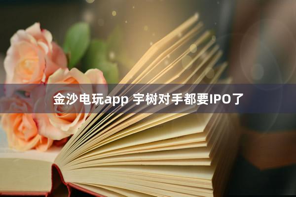 金沙电玩app 宇树对手都要IPO了