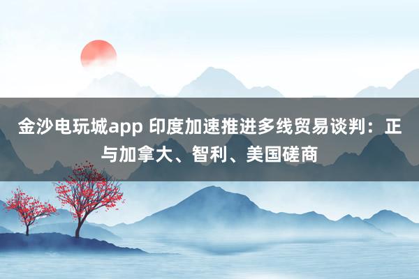 金沙电玩城app 印度加速推进多线贸易谈判：正与加拿大、智利、美国磋商