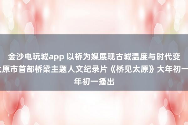金沙电玩城app 以桥为媒展现古城温度与时代变迁 太原市首部桥梁主题人文纪录片《桥见太原》大年初一播出