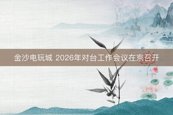 金沙电玩城 2026年对台工作会议在京召开
