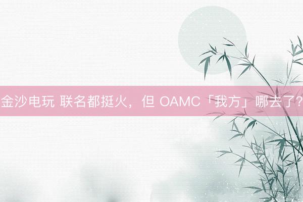 金沙电玩 联名都挺火，但 OAMC「我方」哪去了？