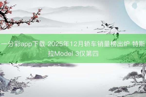 一分彩app下载 2025年12月轿车销量榜出炉 特斯拉Model 3仅第四
